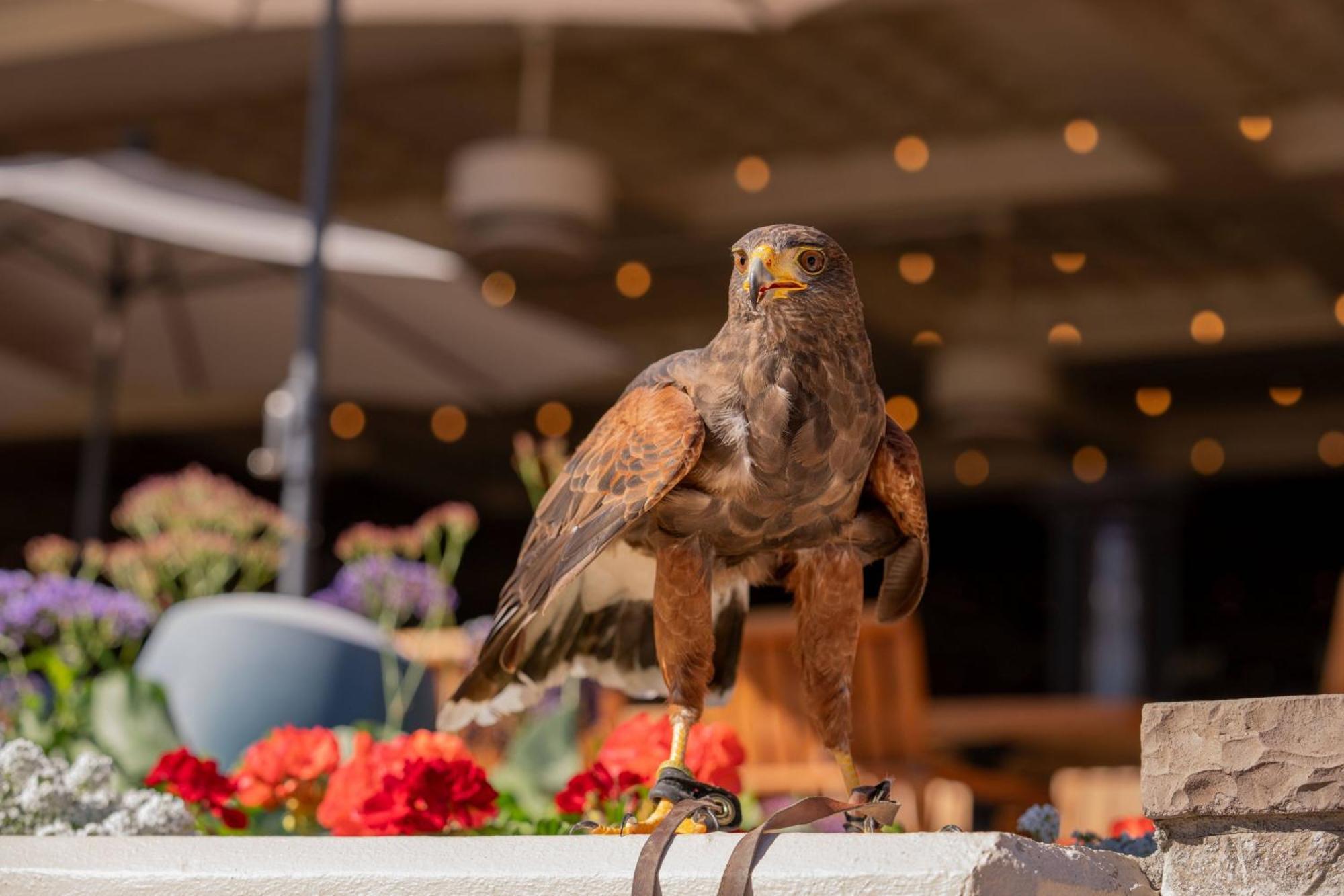 The Phoenician, A Luxury Collection Resort, Scottsdale Exterior foto